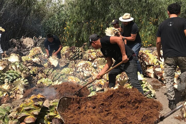 Mezcal Workshop: Liquid Culture in Oaxaca - Photo 1 of 11