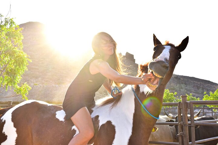 Morning horseback riding to the beach and breakfast! - Photo 1 of 16