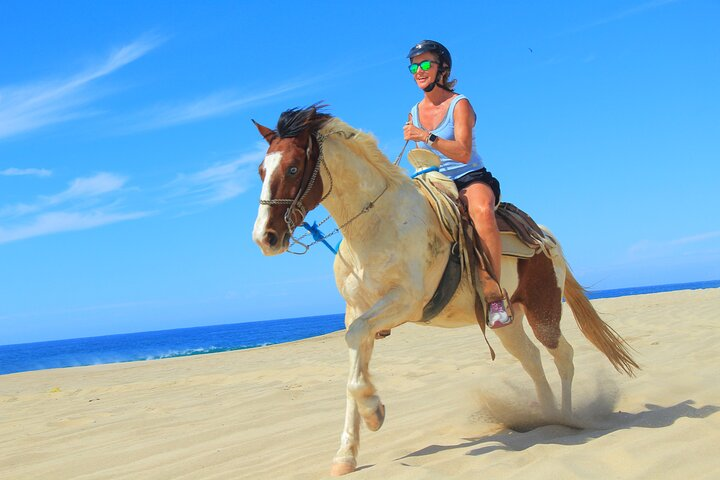 NEW!! Cabo Shore Beach Horseback Ride - Daytime & Sunset Tours - Photo 1 of 24