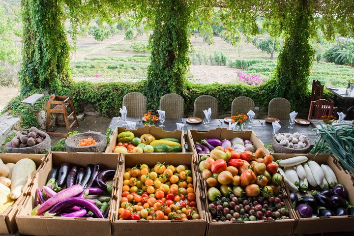 Organic Farm to Table - Photo 1 of 6