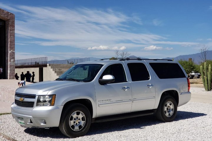 Designated vehicle for tours