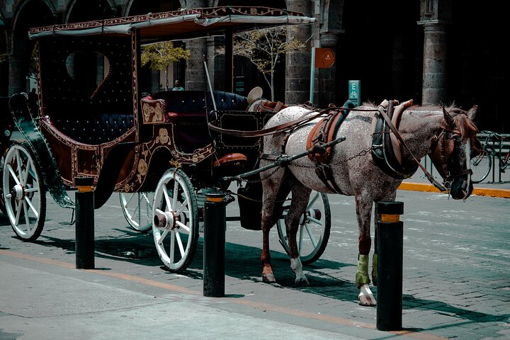 Private Photo Session in the City of Guadalajara - Photo 1 of 7