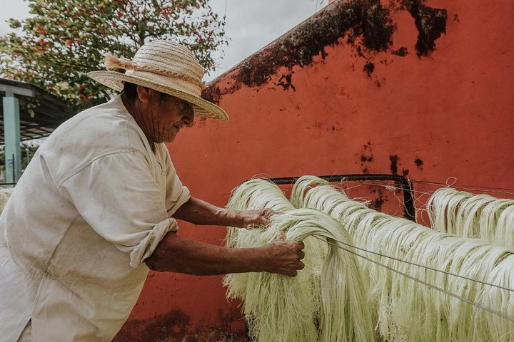 Private Tour: Sotuta de Peon Hacieda Day Trip - Photo 1 of 6