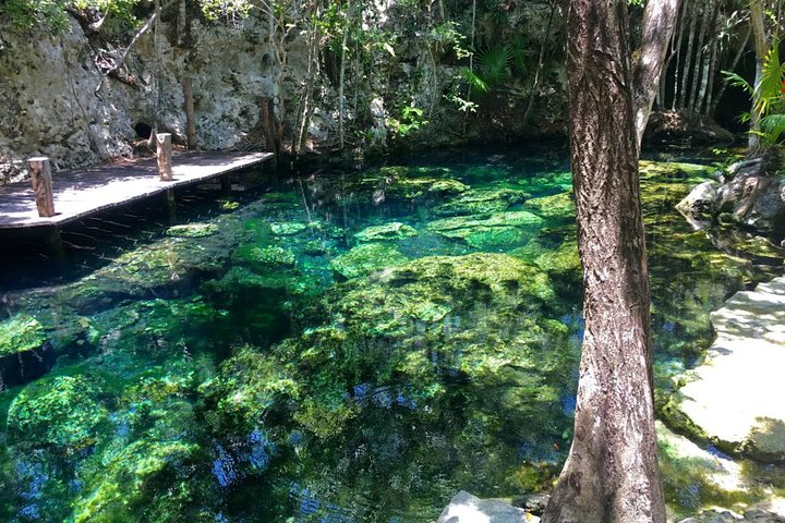 Private Transfer to Cenotes at Riviera Maya - Photo 1 of 6