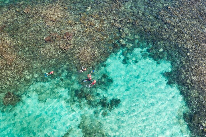 Puerto Morelos Catamaran Reef Sail and Snorkel - Photo 1 of 6