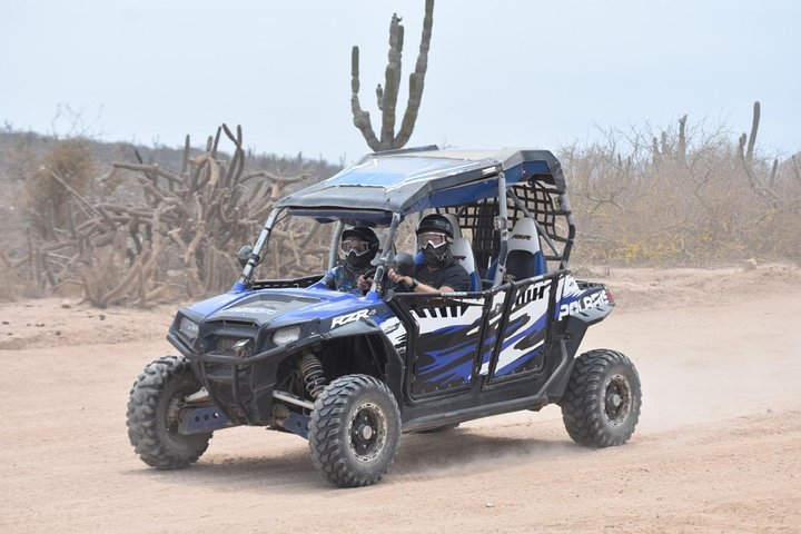 Razors in Cabo San Lucas - Photo 1 of 4