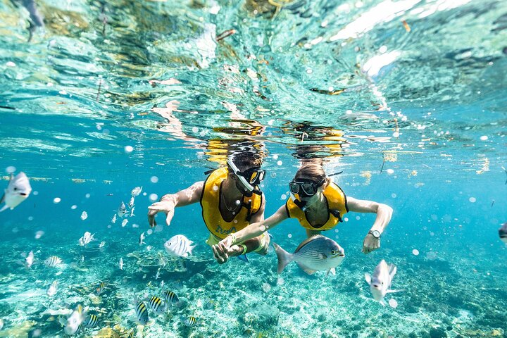 Reef and Shipwreck Snorkeling Tour in Cancun - Photo 1 of 9