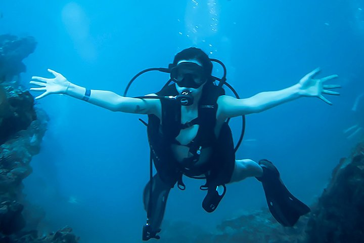 Marietas Island diving