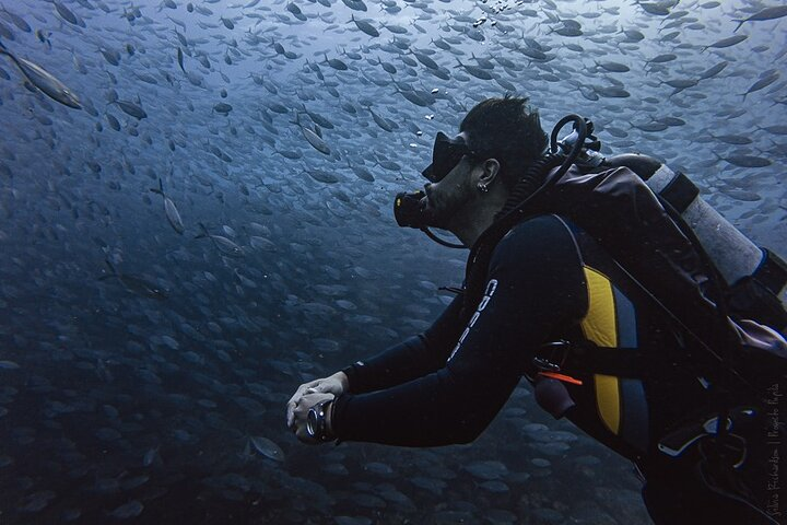 Scuba Diving - Photo 1 of 10