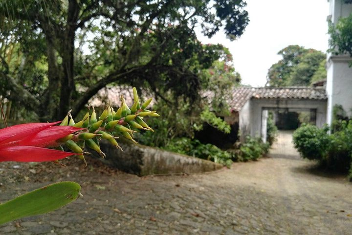 A view from Coatepec.