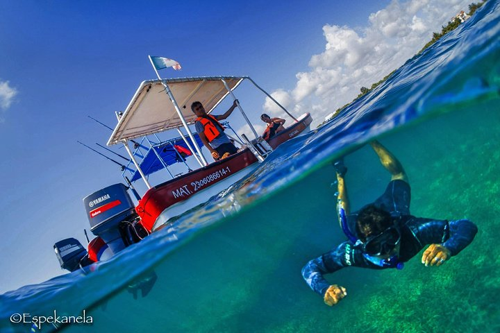 Snorkel boat tour in search of turtles - Photo 1 of 6