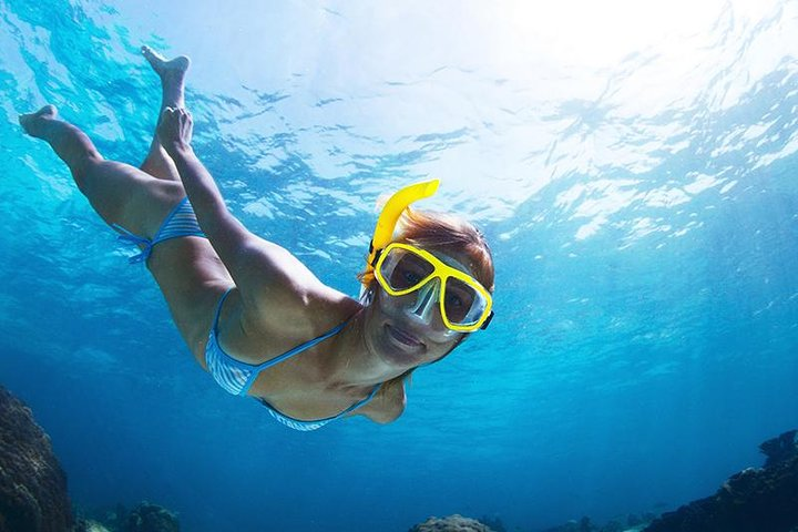 Snorkel Tour in San Jose del Cabo