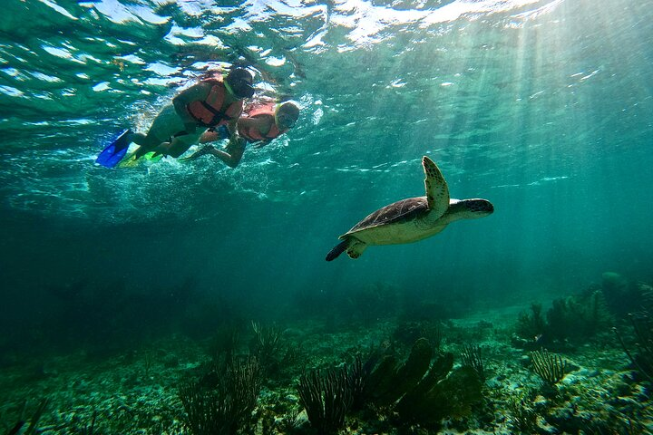 Snorkeling Guided Activity in Puerto Morelos Mexico - Photo 1 of 6