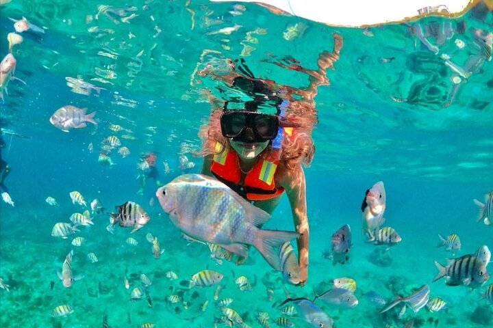 Cancun Snorkeling