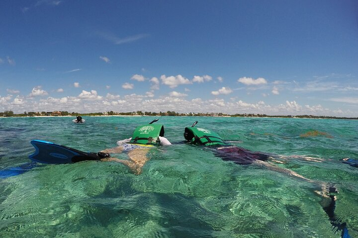 snorkeling