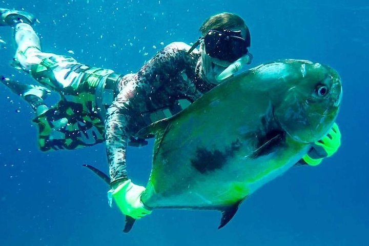 Spearfishing in Tulum or Playa del Carmen - Photo 1 of 12