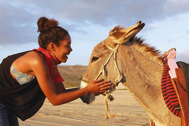 Safari hiking tour