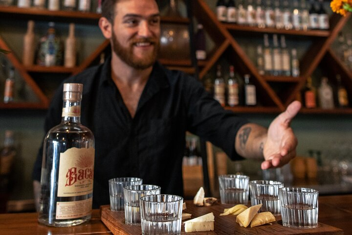 Tequila and Mezcal Tasting in Tulum with Cheese Pairing - Photo 1 of 9