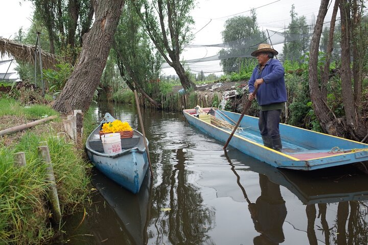 The City Green Exploring the Urban Eco Reserve of Xochimilco - Photo 1 of 6