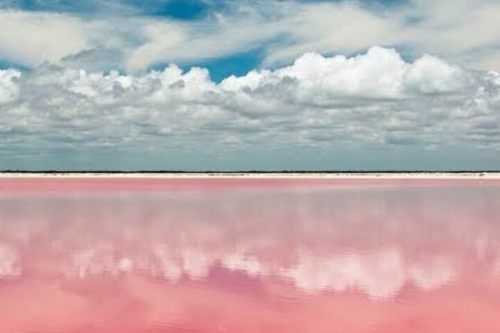 Tour to the pink lagoons & Río Lagartos from Merida - Photo 1 of 6