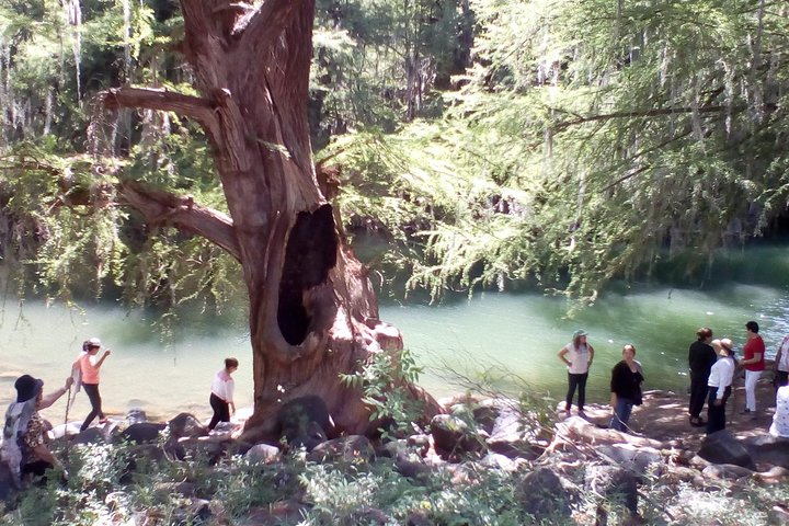 Tour Visiting the Malpais - Photo 1 of 21