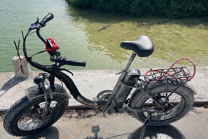 Tulum Area Experiences E-Bike Daily Rental - Photo 1 of 13