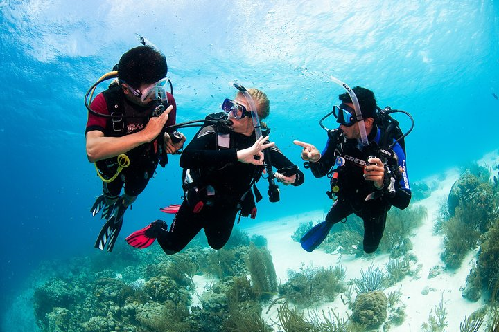 Two reef discovery dives with professional instructor (no experience necessary)  - Photo 1 of 13