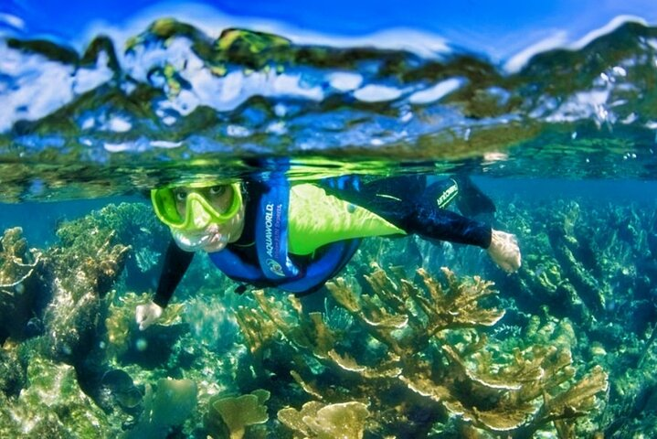 Underwater Museum of Art Snorkel Experience - Photo 1 of 9