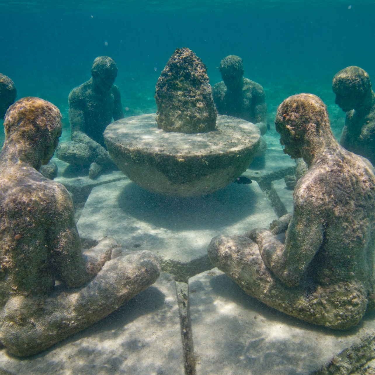 Underwater Museum Punta Nizuc: Glass-Bottomed Boat - Photo 1 of 4