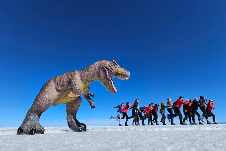 Uyuni Salt Flats from La Paz City 3 Day Tour  - Photo 1 of 17