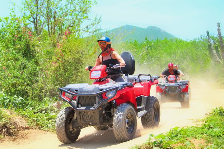 Wild Desert Half-Day ATV Tour including Baja 1000 Routes - Photo 1 of 8