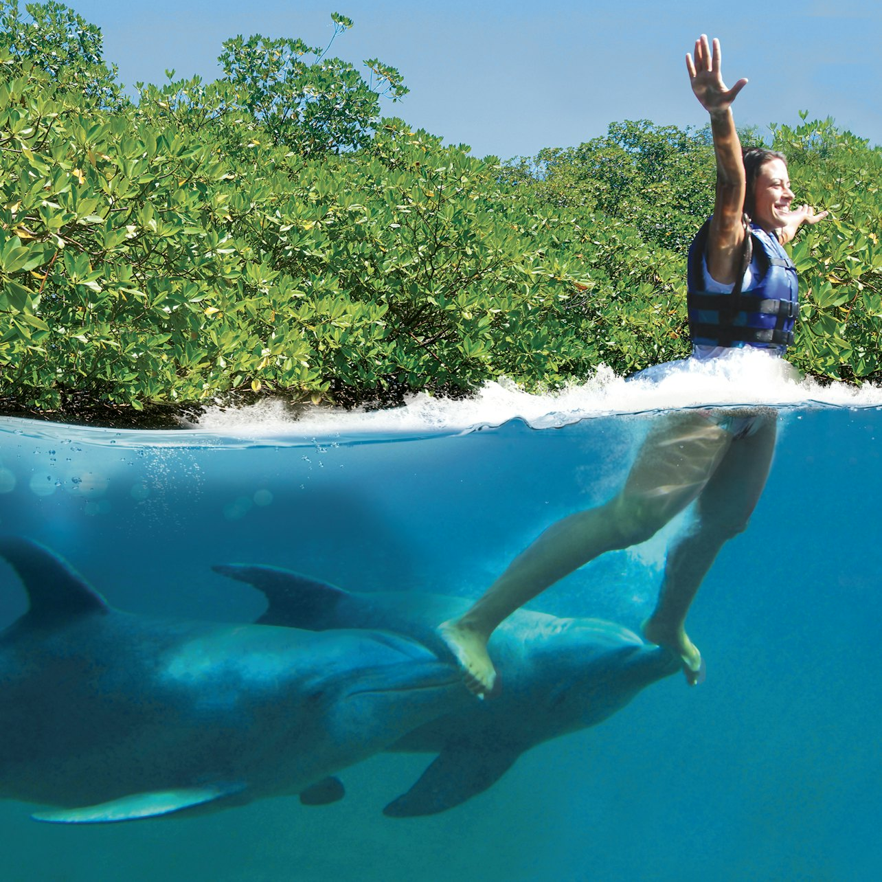 Xcaret Dolphin Tour Plus with Dolphin Swim - Photo 1 of 6