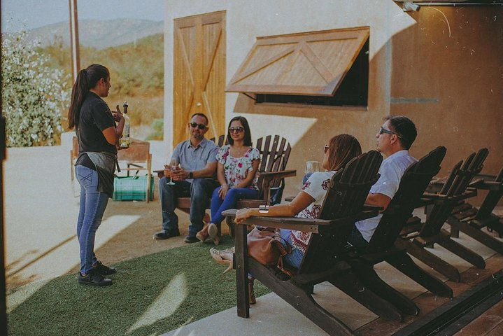 Xecue Wine Tasting in the Guadalupe Valley - Photo 1 of 13