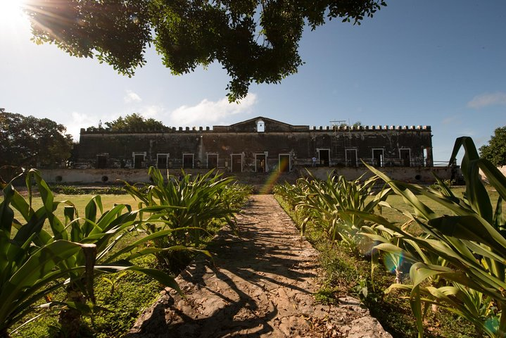 Yaxcopoil Hacienda & Uxmal Plus Cenote from Merida - Photo 1 of 25