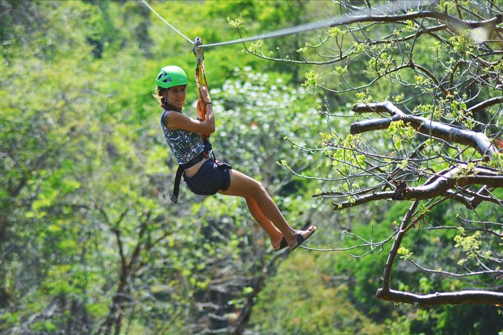 Zipline