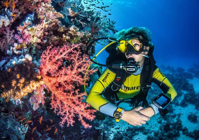 10th-anniversary-10-off-sunset-night-dive-with-onboard-bbq-dinner-in-manukan-island-kota-kinabalu-sabah_1