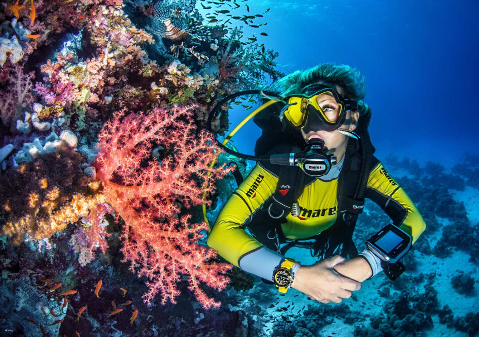 【10th Anniversary｜10% off 】Sunset & Night Dive with Onboard BBQ Dinner in Manukan Island | Kota Kinabalu, Sabah - Photo 1 of 8