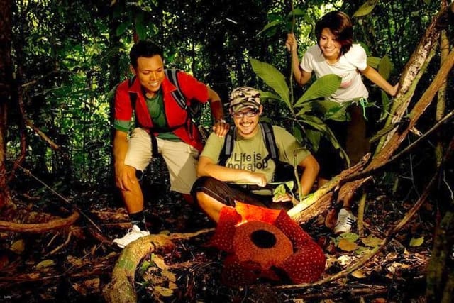 10th-anniversary-15-off-taman-negara-national-park-private-day-tour-from-kuala-lumpur-with-lunch-malaysia_1