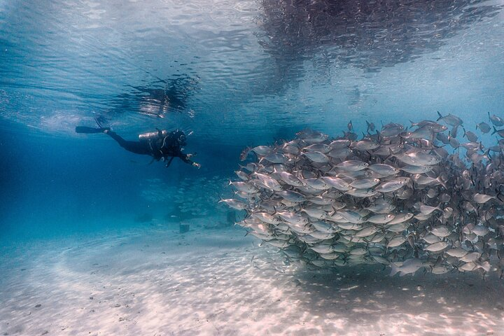 (2 Dives) Discover Scuba Diving Kota Kinabalu - Photo 1 of 7