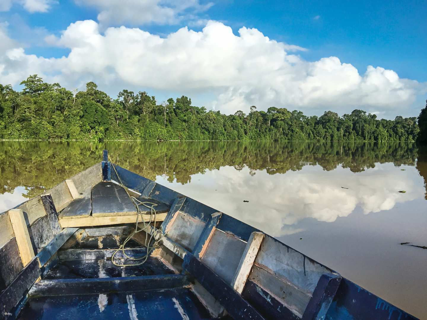 3D2N Kinabatangan River Private Tour | Sabah - Photo 1 of 6