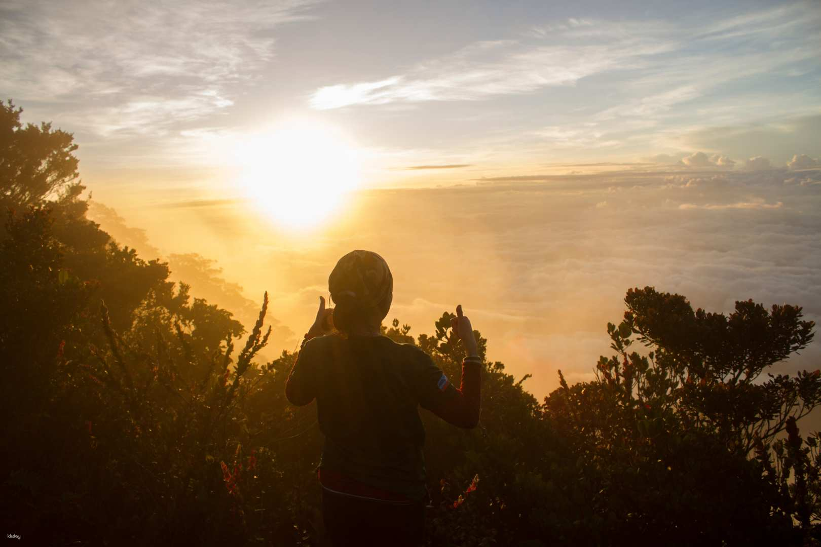 3D2N Mount Trus Madi Climb | Kota Kinabalu, Sabah - Photo 1 of 8