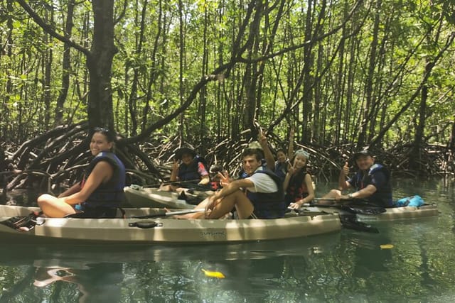 4 Hours Kilim Geopark Mangrove Kayaking - Photo 1 of 8