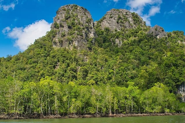 A Mangrove River Cruise on Langkawi - Photo 1 of 14