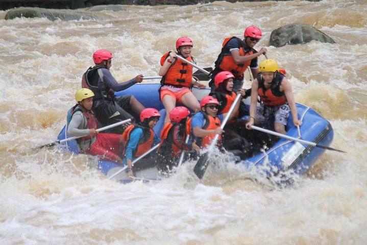 Exotic and mystifying rainforest where the fastest butterflies swarm by the riverbank