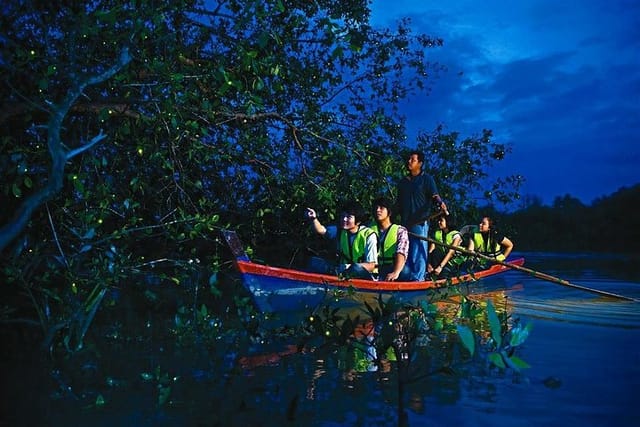 sampan (traditional, non-motorized wooden boat)