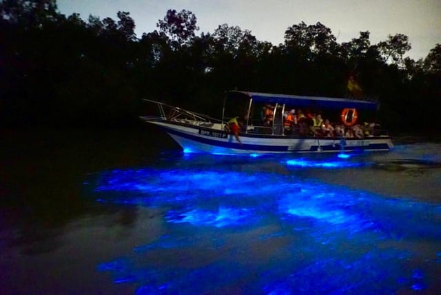 Blue Tears Boat Cruise in Kuala Selangor - Photo 1 of 7