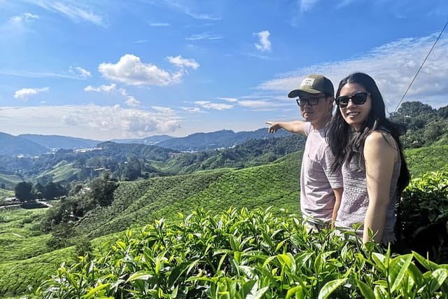 Beautiful Scenery around Boh Tea Plantation 