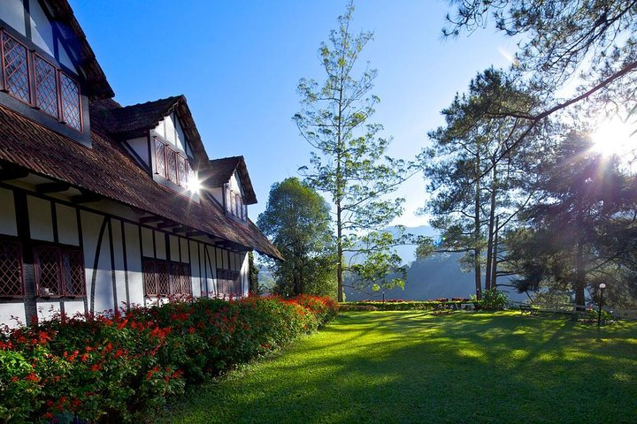 Cameron Highlands Tour with Lunch on Private Basis - Photo 1 of 8