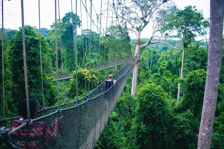 Taman Negara Kuala Tahan