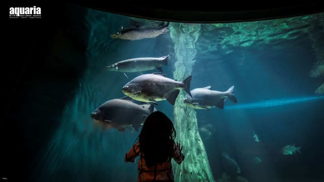 COMBO: Aquaria KLCC + Berjaya Times Square Theme Park - Photo 1 of 6